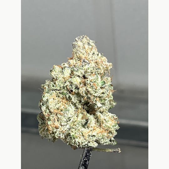 Southern Grown Therapeutics - Orange Creamsicle - 7g - 1