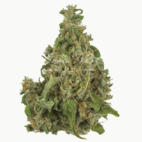 Grow West Cannabis Company - Cherry AK-47 | Silver | Untrimmed Flower - 1