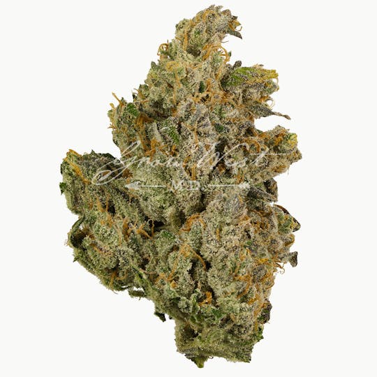 Grow West Cannabis Company - Bubblegum Cake | Gold | Trimmed Flower - 1