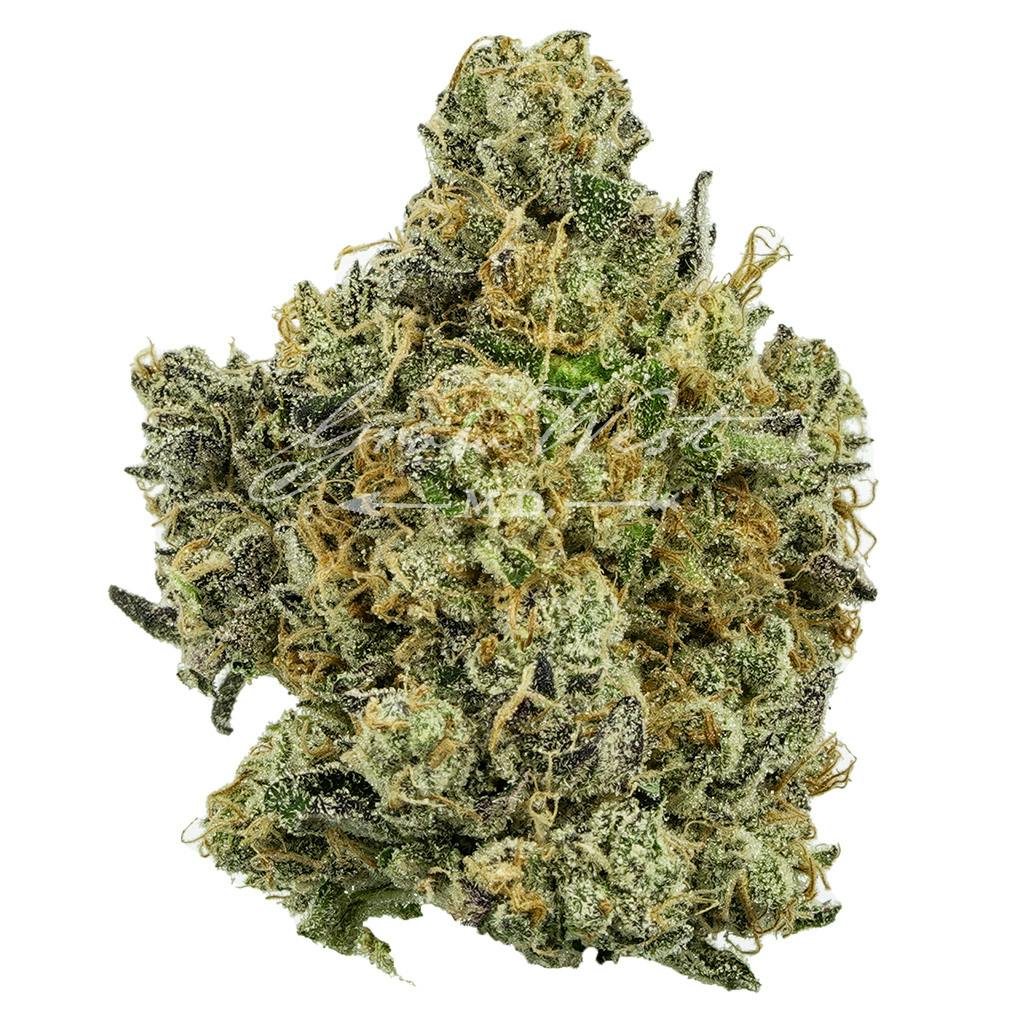 Grow West Cannabis Company - Electric Berry Bliss | Premium | Hand-Trimmed Flower - 1