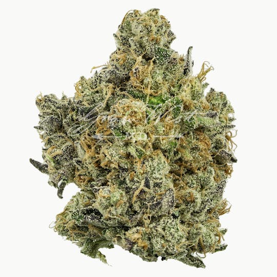 Grow West Cannabis Company - Electric Berry Bliss | Gold | Trimmed Flower - 1