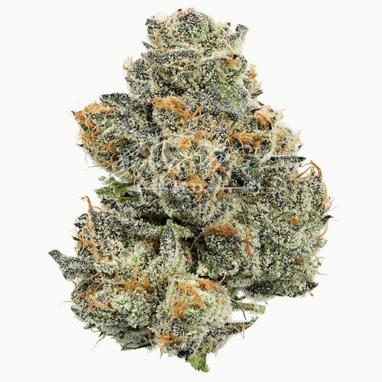 Grow West Cannabis Company - Houston, We Have A Problem | Premium | Hand-Trimmed Flower - 1