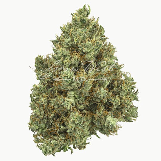 Grow West Cannabis Company - Lilac Diesel | Premium | Hand-Trimmed Flower - 1