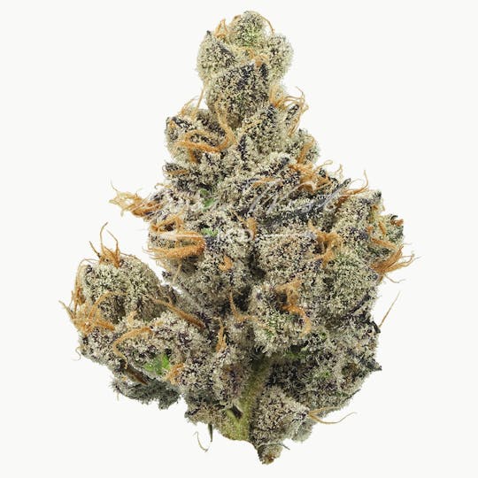 Grow West Cannabis Company - Sour Apple Crumble | Gold | Trimmed Flower - 1