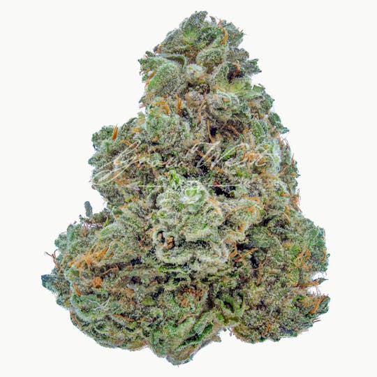 Grow West Cannabis Company - Triangle Kush | Gold | Trimmed Flower - 1