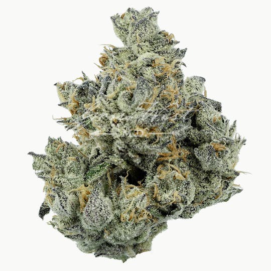 Grow West Cannabis Company - Cloudberry OG | Gold | Trimmed Flower - 1