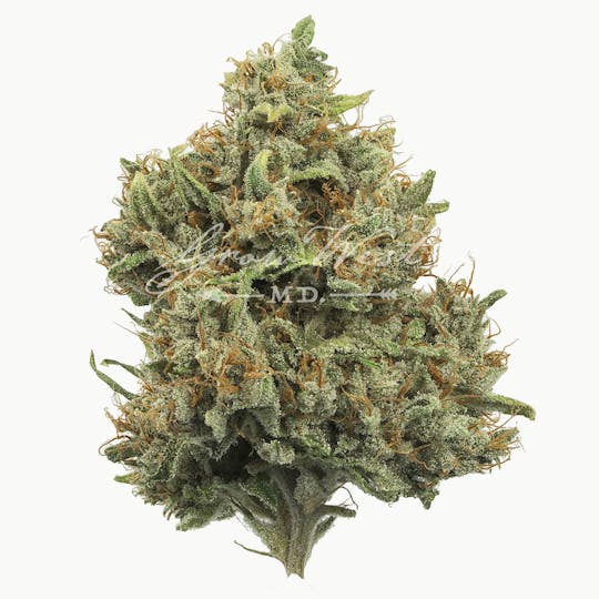 Grow West Cannabis Company - Cough OG | Gold | Trimmed Flower - 1