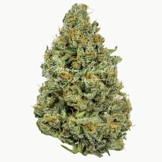 Grow West Cannabis Company - Gandhari Kush | Premium | Hand-Trimmed Flower - 1