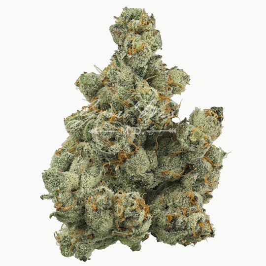 Grow West Cannabis Company - Grape Cake | Premium | Hand-Trimmed Flower - 1