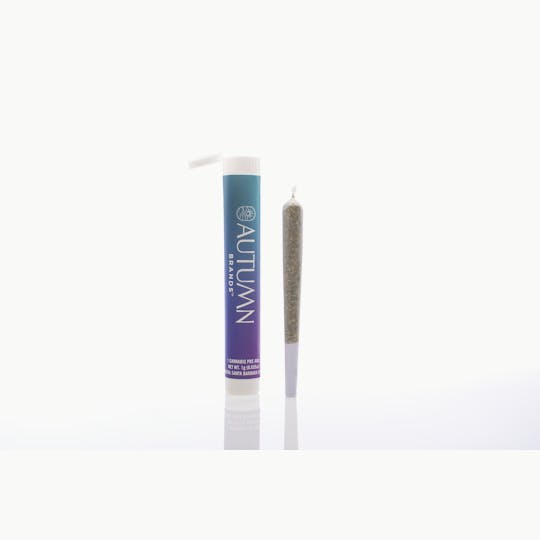 Autumn Brands - Purple Push Pop 1g Preroll - 1