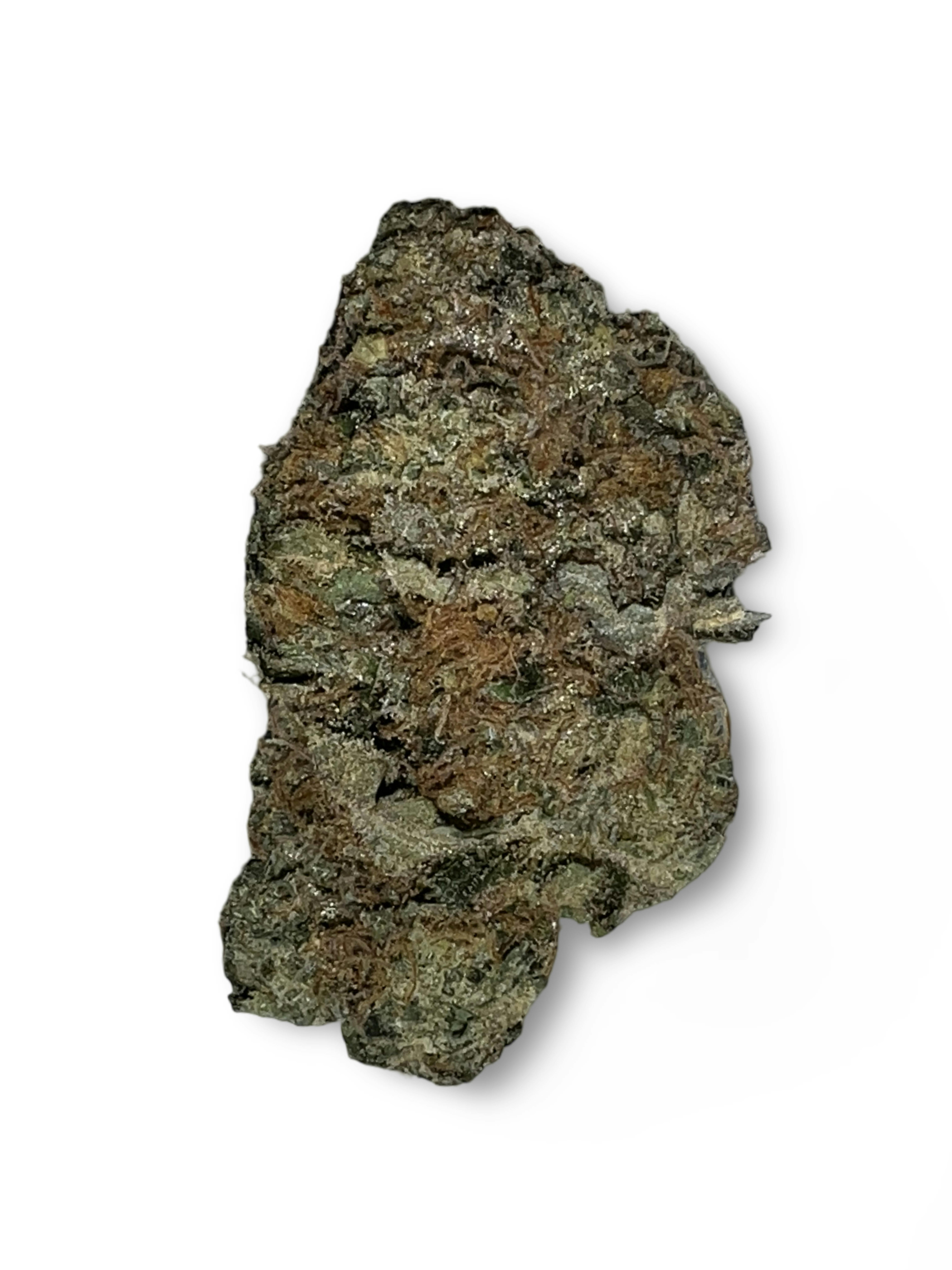 Indico - Z Plush - Indico - 1