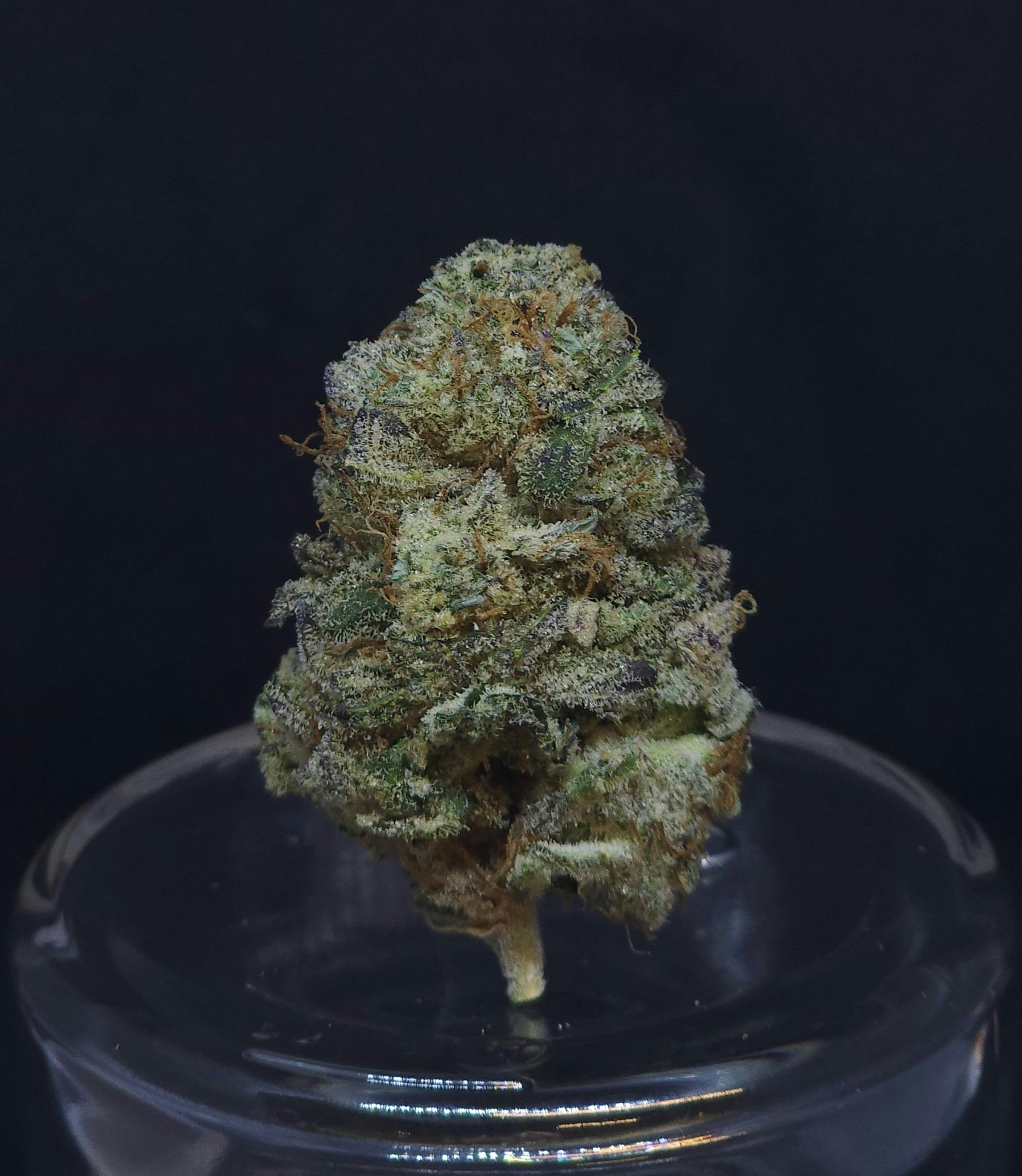 BAM Alaska - Grease Monkey .5g Pre-Roll - 1