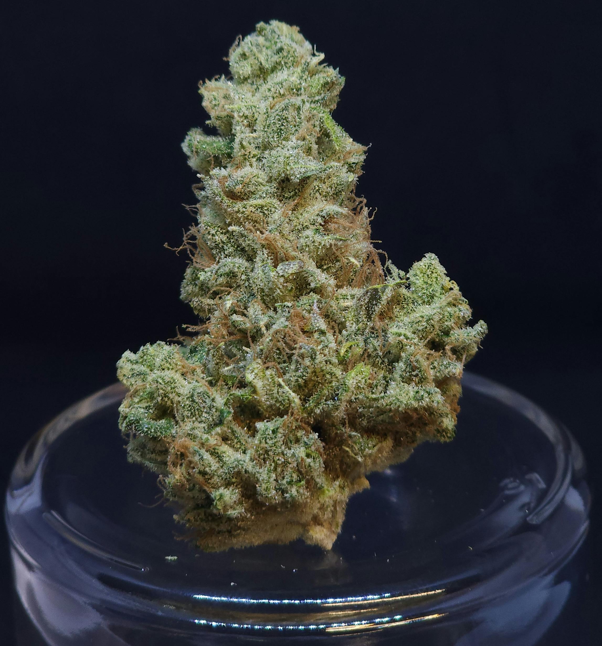 BAM Alaska - Scuba's KeyLime OG .5g - 5 Pack - 1