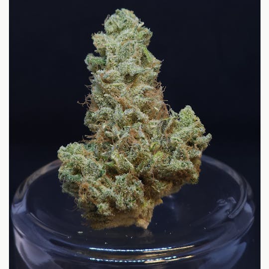 BAM Alaska - Scuba's KeyLime OG 14g Flower - 1