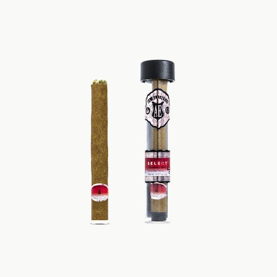El Blunto by Albert Einstone's - El Blunto x Papa's Select - Strawberry GMO - 2G Cannagar - Hash Infused - 1