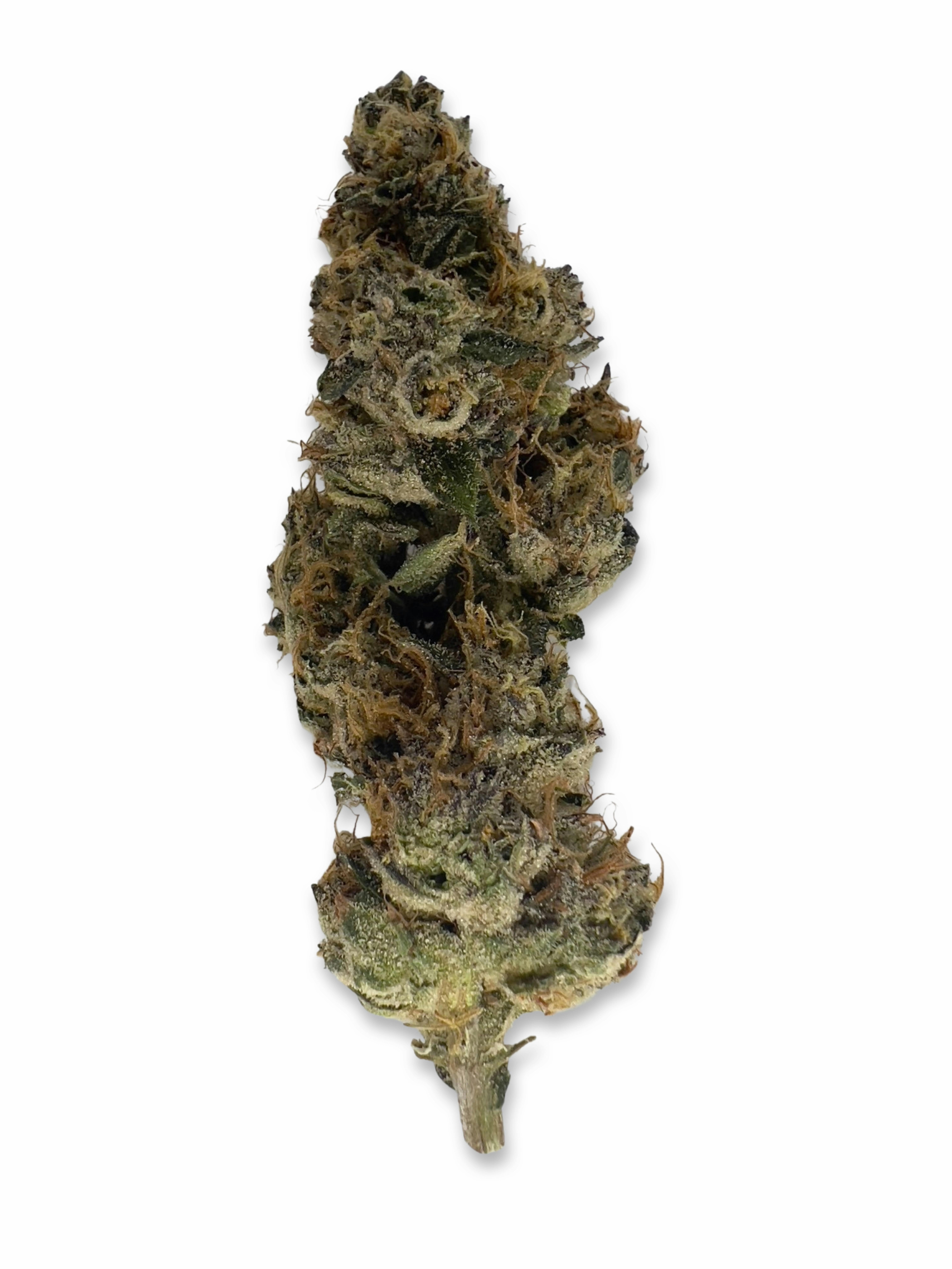 Indico - Grape GMO - Pine Tree Apothecary - 1