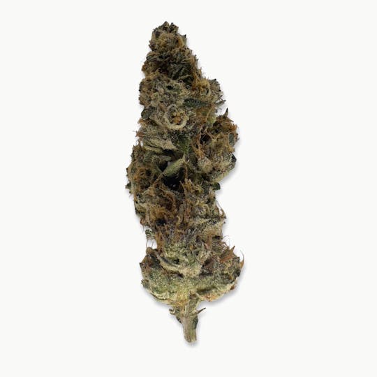 Indico - Grape GMO - Pine Tree Apothecary - 1