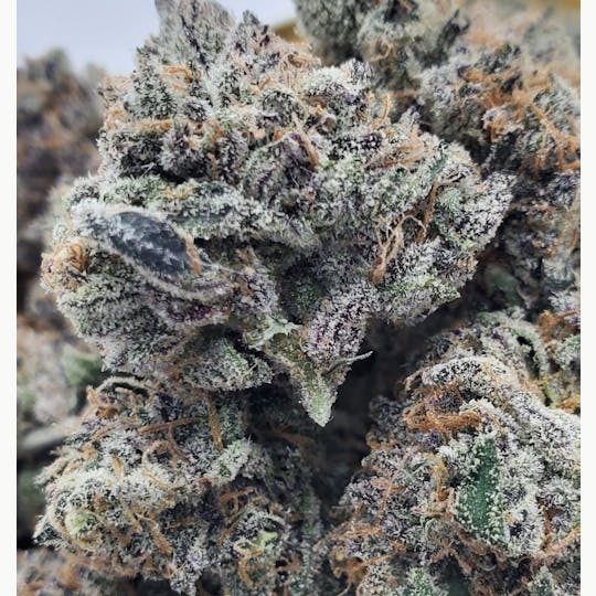 World Class Cannabis - Blue Runtz - 1
