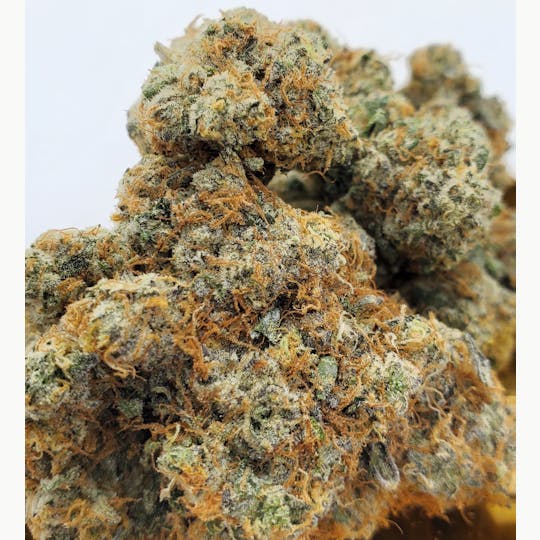 World Class Cannabis - 007 - 1