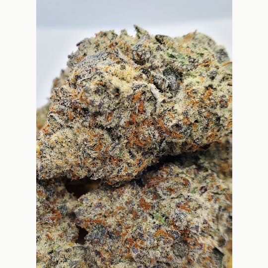 World Class Cannabis - Hawaiian Snow - 1