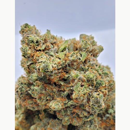 World Class Cannabis - Lakers OG - 1