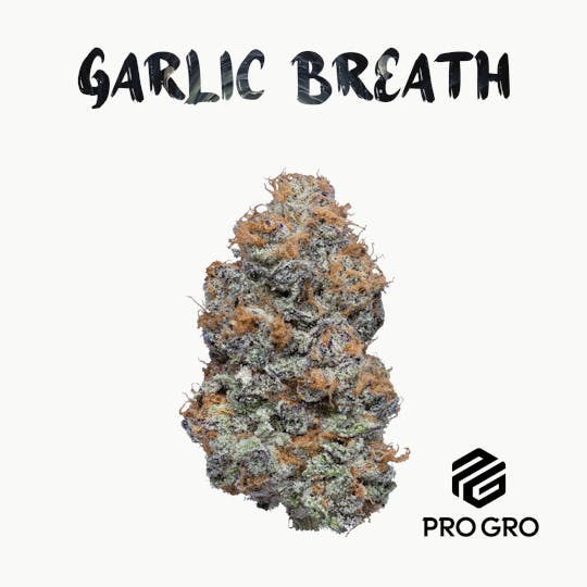 Pro Gro - Garlic Breath Bubble Hash Infused Pre-Roll | 1g 3-Pack - 1
