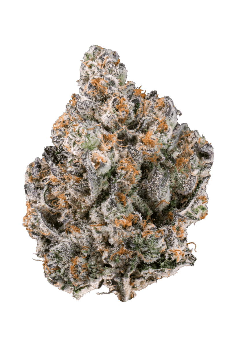 Kutz Premium Cannabis - KUTZ | Pave - 1