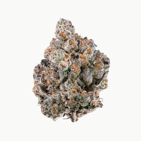 Kutz Premium Cannabis - KUTZ | Pave - 1