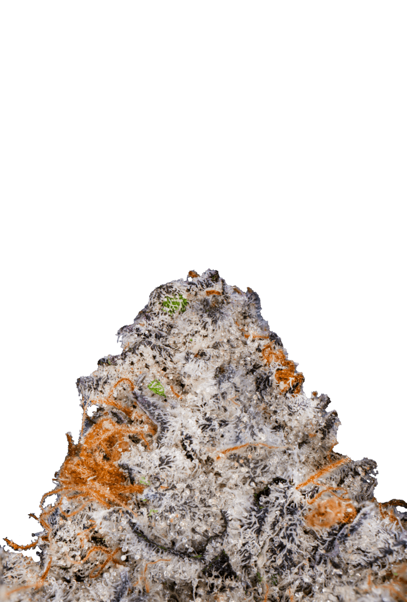 Kutz Premium Cannabis - KUTZ | Pure Michigan - 1