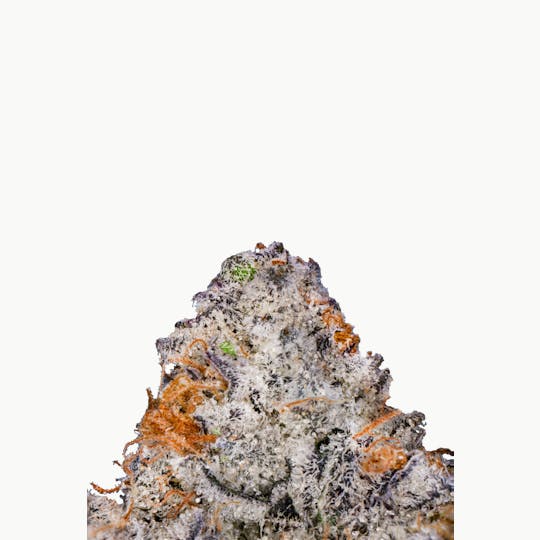 Kutz Premium Cannabis - KUTZ | Pure Michigan - 1