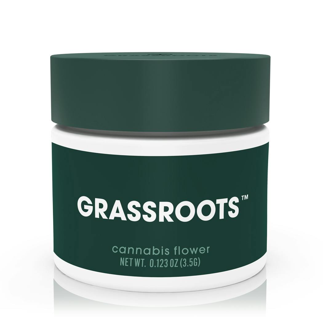 Grassroots - It's Mimosa - Flower - 1