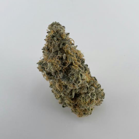 Indico - Ice Cream Cake - Windhill Organics - 1