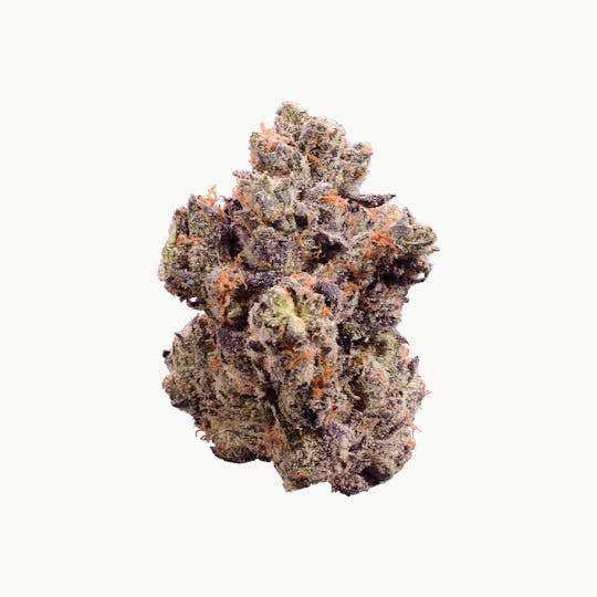 XOTX - Black Lemon Cherry Gelato 14G - 1