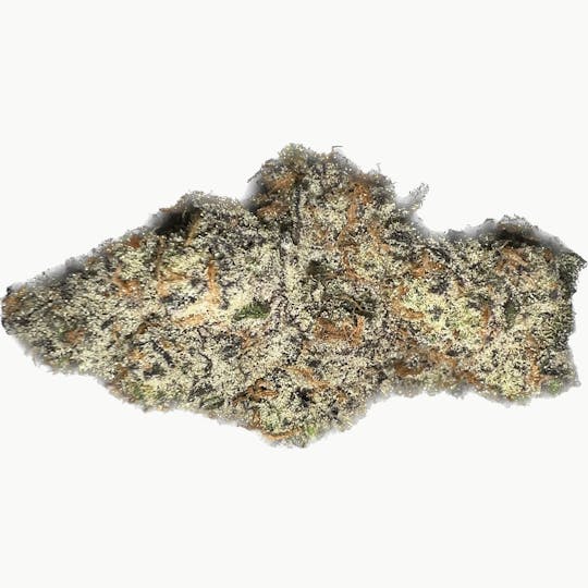 Oaklien - Oaklien x The Weed Lady: Canna Kick It Edition - Glitter Bomb - 1