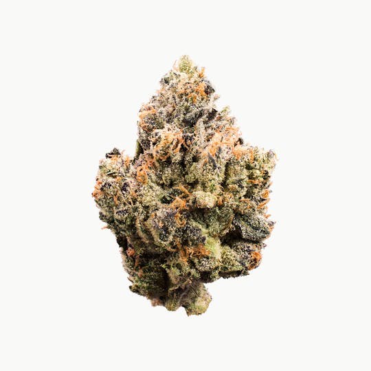 XOTX - Bubble Gum Runtz 14G - 1