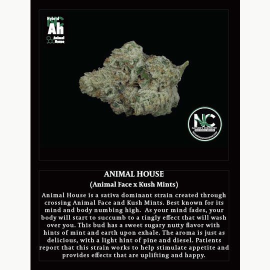 Nature's Chemistry - Animal House - 1
