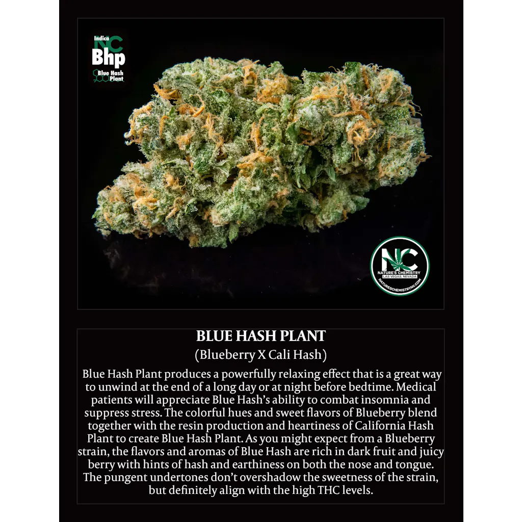 Blue Hash Plant - Nature's Chemistry