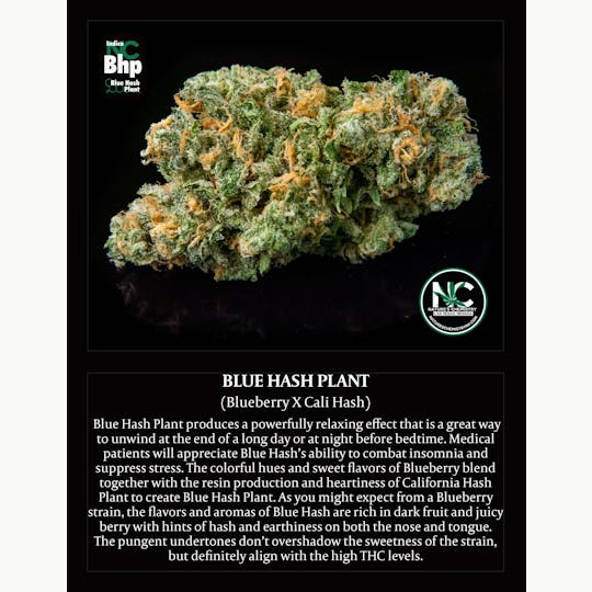 Nature's Chemistry - Blue Hash Plant - 1