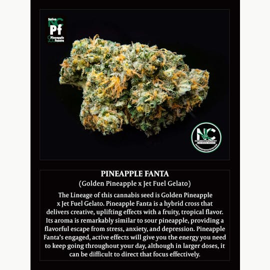 Nature's Chemistry - Pineapple Fanta - 1
