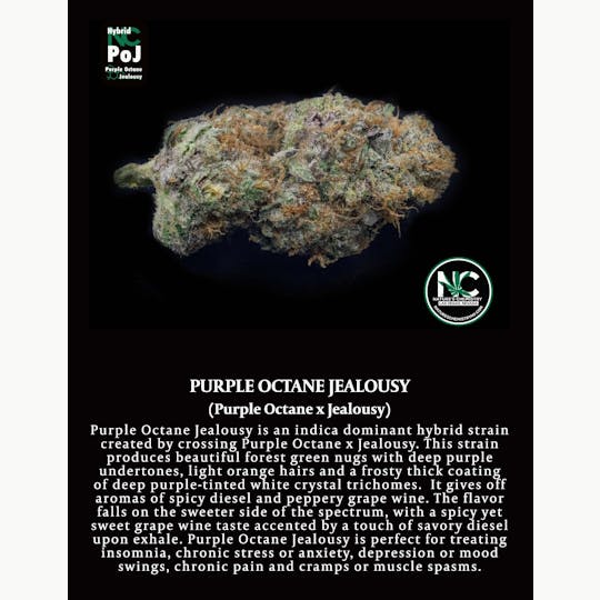 Nature's Chemistry - Purple Octane Jealousy - 1