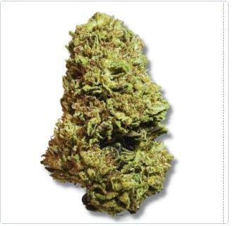 Smoakland - Smoakland Xclusivez | Sugar Cookies | Big Buds - 1