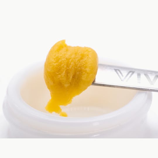 Vivid - Vivid - Grape Juice Live Badder - Indica - 1