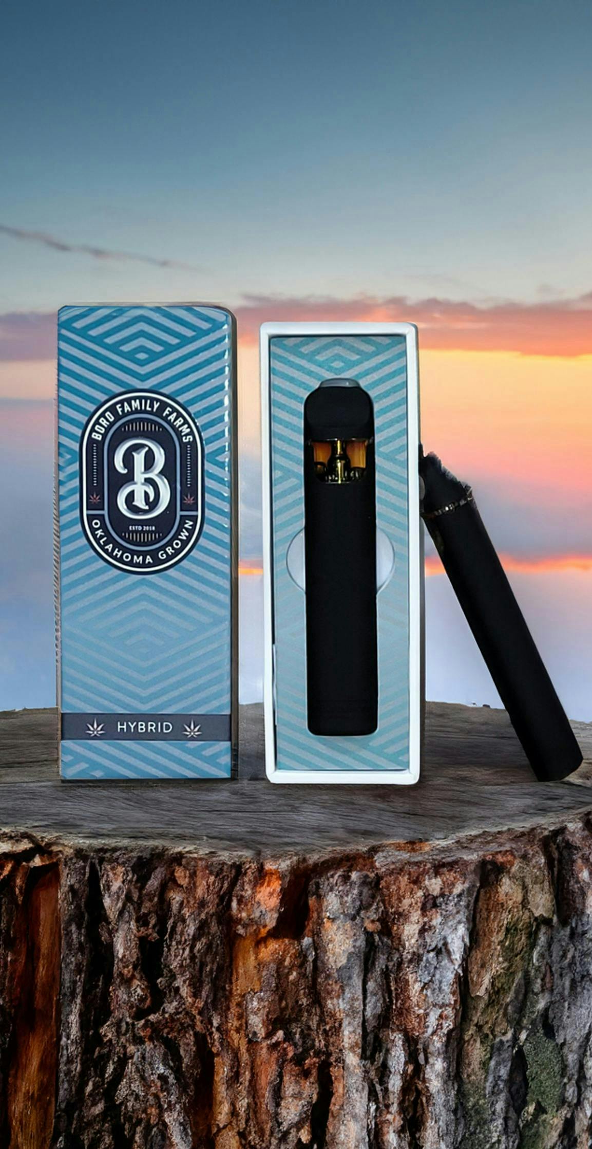 Boro Family Farms - Black Runtz - Live Resin Disposable - 1g - 1