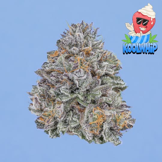 Freddy's Fuego - Kool Whip - Freddy's Finest - 1
