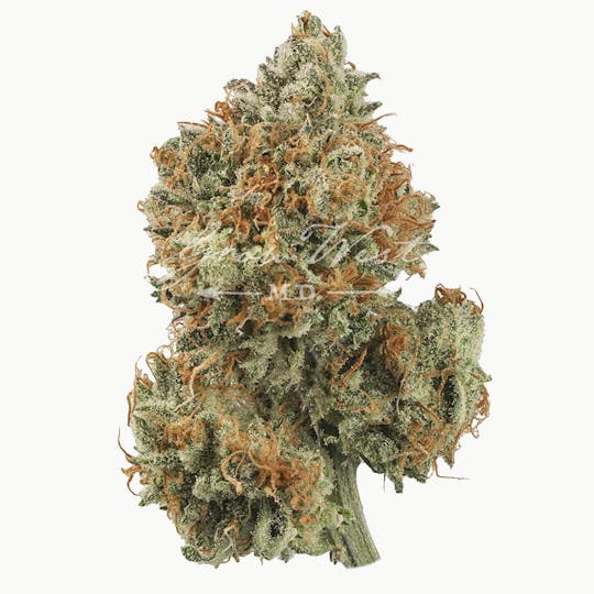 Grow West Cannabis Company - Do-Si-Dos | Gold | Trimmed Flower - 1