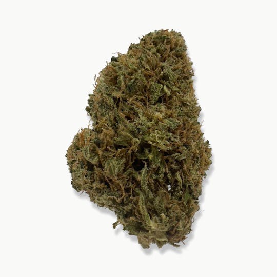Indico - Lemon Fuel - $100 Oz - 1