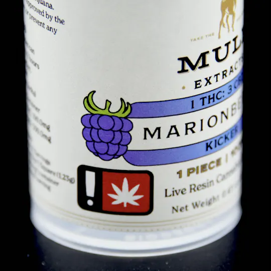 Mule Extracts - Mule Extracts | Marionberry 1:3 Kicker Gummy | THC:CBD | 100mg THC | Single - 1