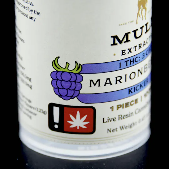 Mule Extracts - Marionberry 1:3 Kicker Gummy | THC:CBD | 100mg THC | Single - 1