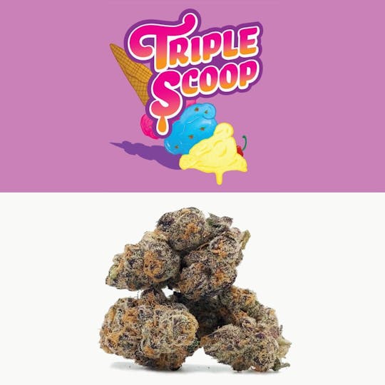 Cookies Michigan - Triple Scoop - 1