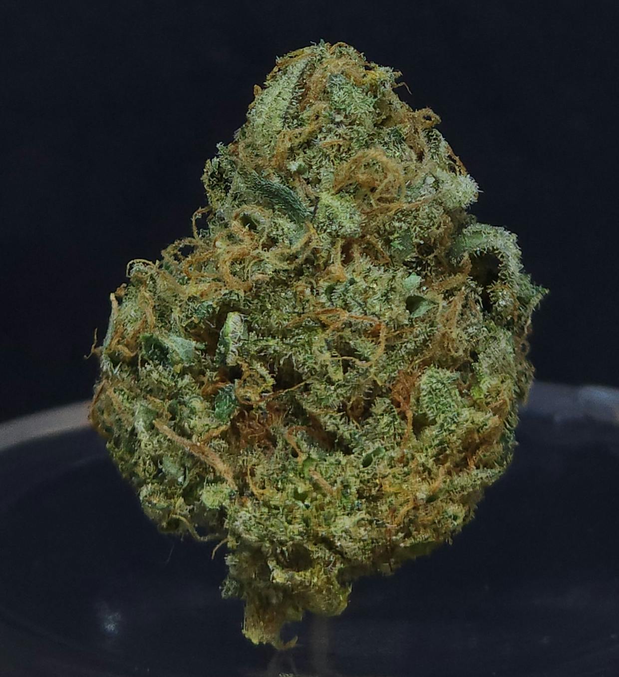 BAM Alaska - Bam Strikes Back 3.5g Flower - 1